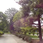 Kibilu - Via Borsa