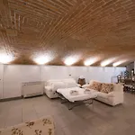 Loft In Navigli District With Jacuzzi & Sauna - Papiniano