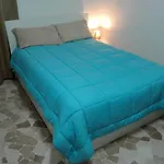 Metropolitan Apartment