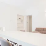 Brand, New And Fully Furnished Apt