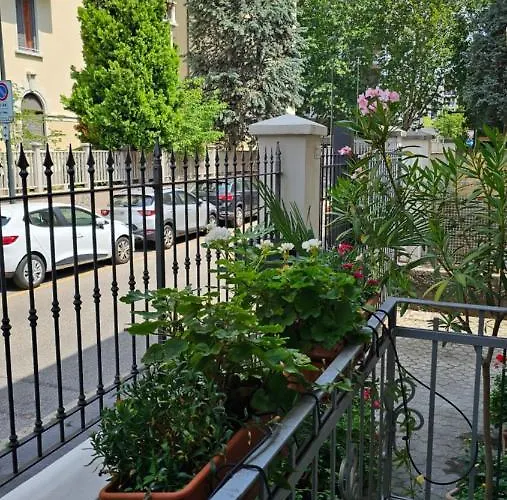 Cesena3