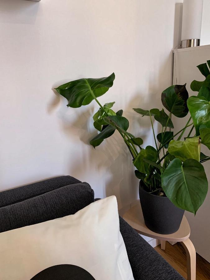 Apartment Nolo28 Milan