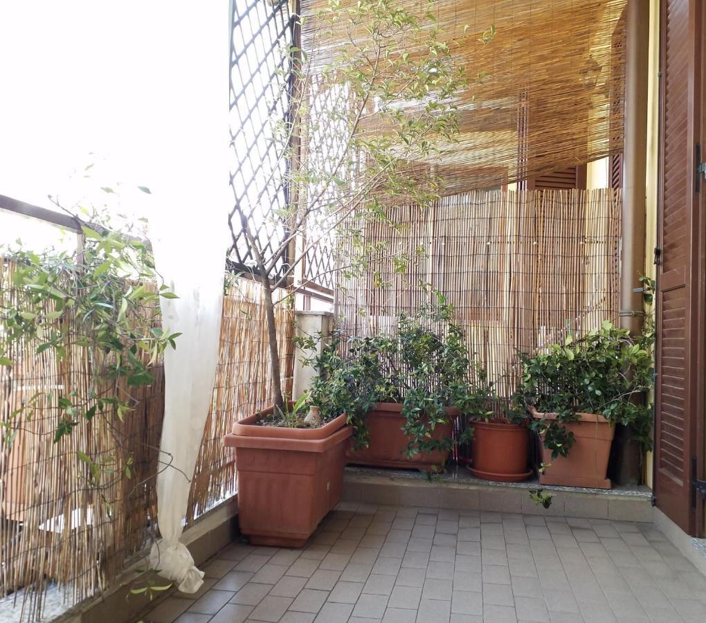 Lovely Terrace Apartment