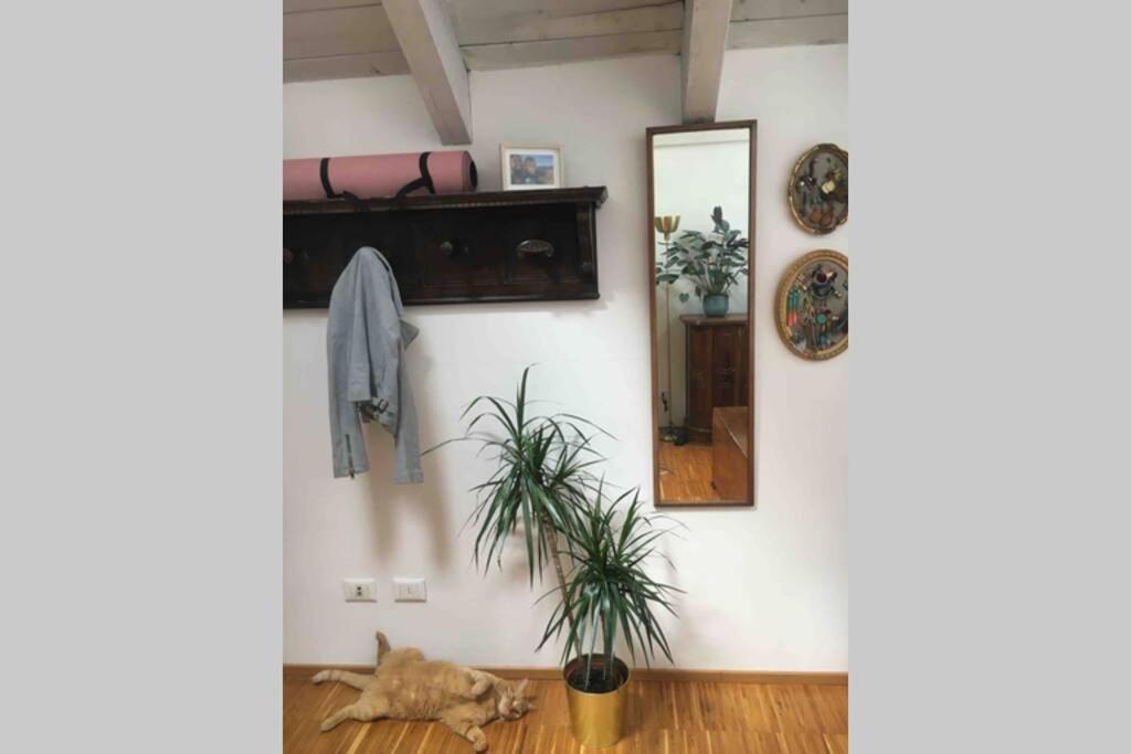 Sunny Loft Warehouse Conversion & Spacious Terrace Holiday home *