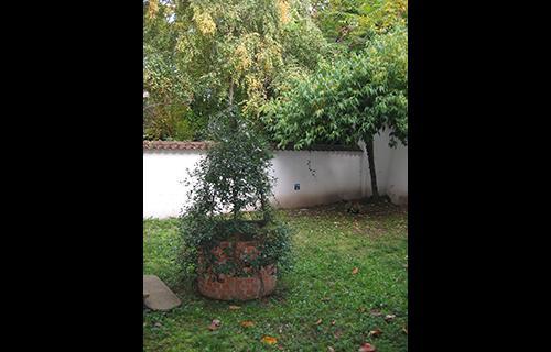 Casa Calicantus 2*
