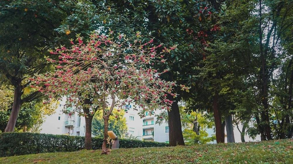 Ih Argonne Park