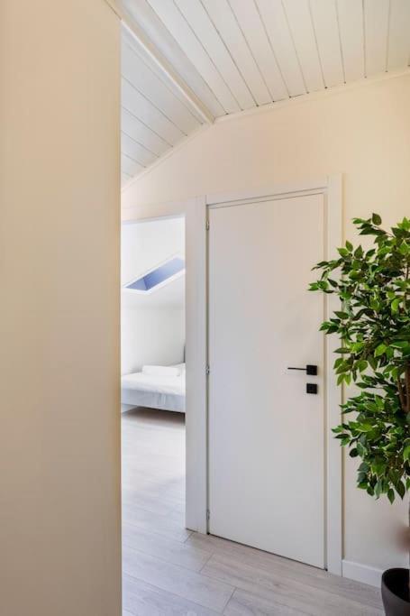 Stupendo Duplex In Centro A Apartment *