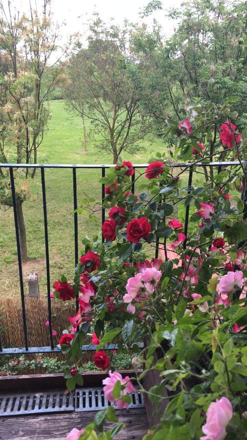 With Terrace And Loft With Garden In Naviglio Pavese Guest house