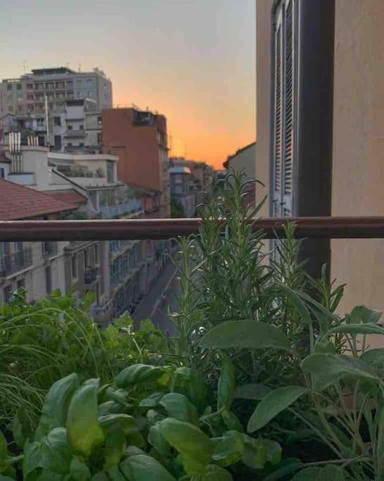 Chic Design Flat In Piero Della Francesca Apartamento
