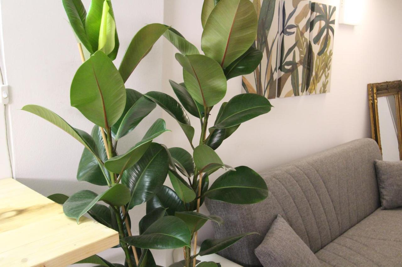 Bamboo Pastorelli Appartamento *