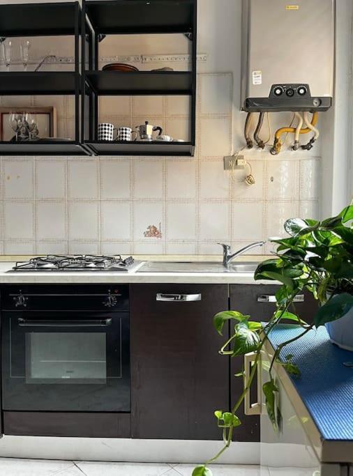 Apartment Frank_135