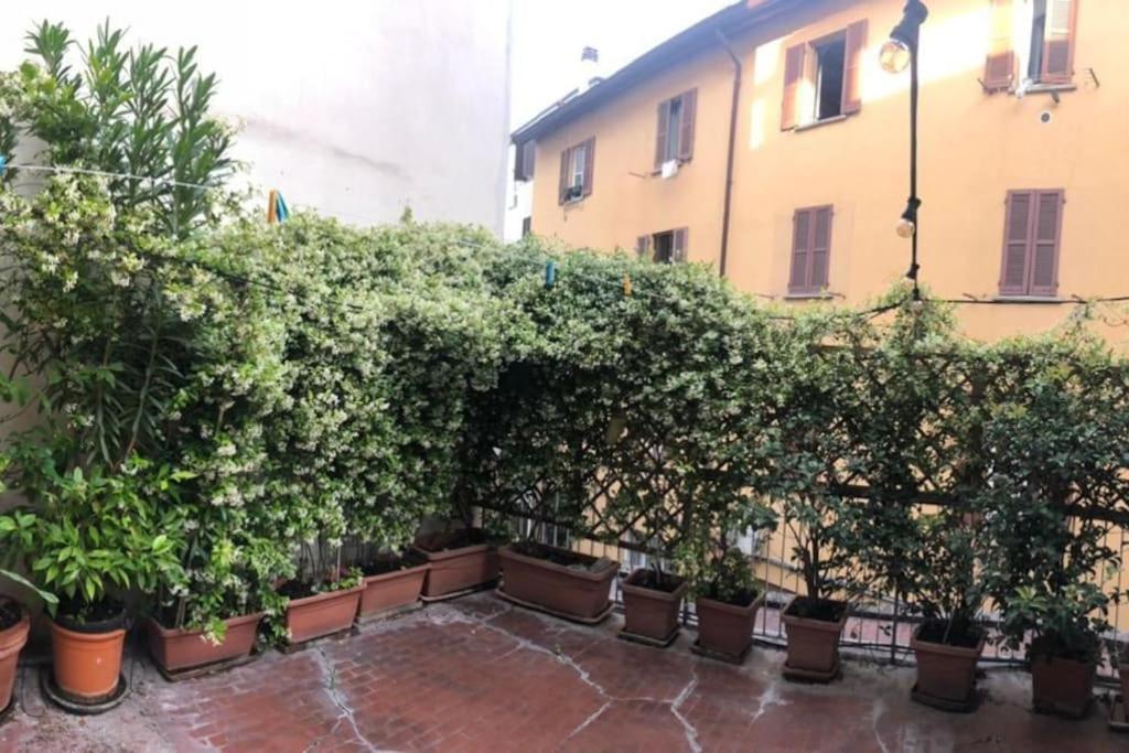 Sempione Yellow Appartamento