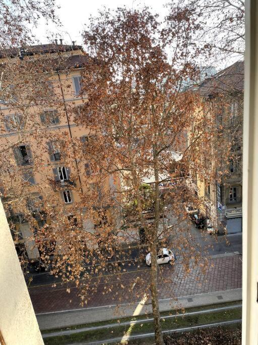 Hospedagem domiciliar Casa Caldara