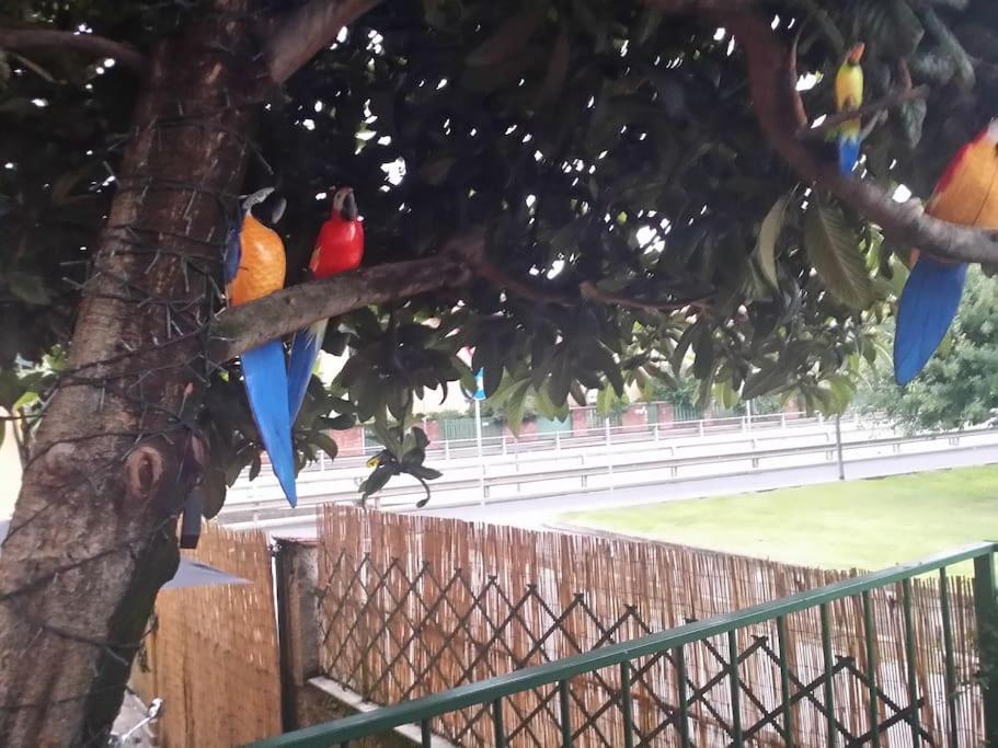 Vicino Allo Stadio Di San Siro E Alla Fiera Appartamento *