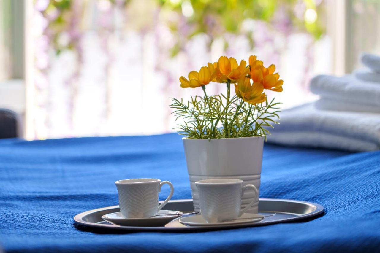 Apartamento - Amazing - Pta Venezia *