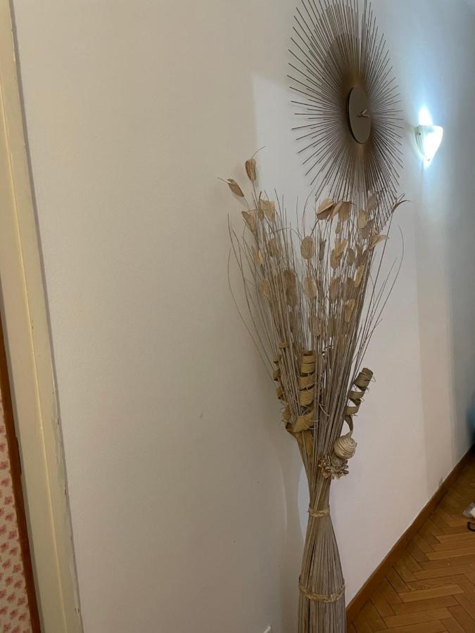 City House Viale Murillo Apartment