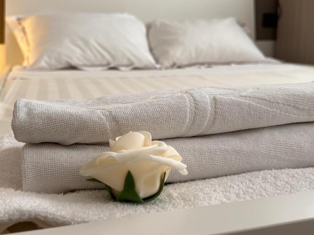 Apartment Loft Bocconi Milan