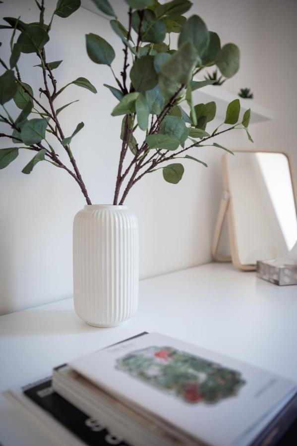 Apartment Custodi *