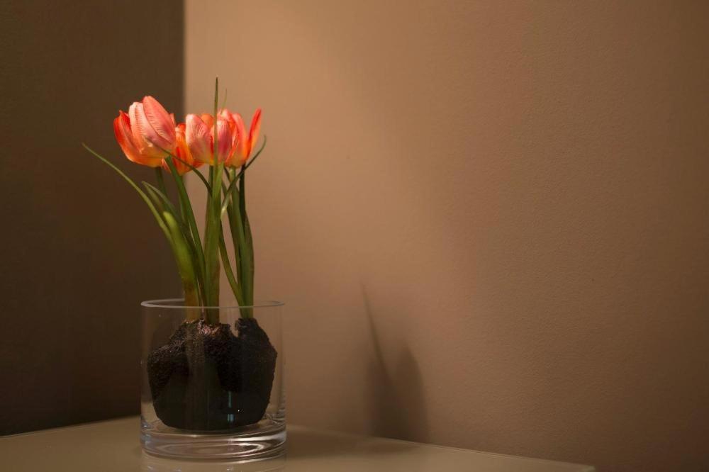 Apartment Heart Porta Romana Milan