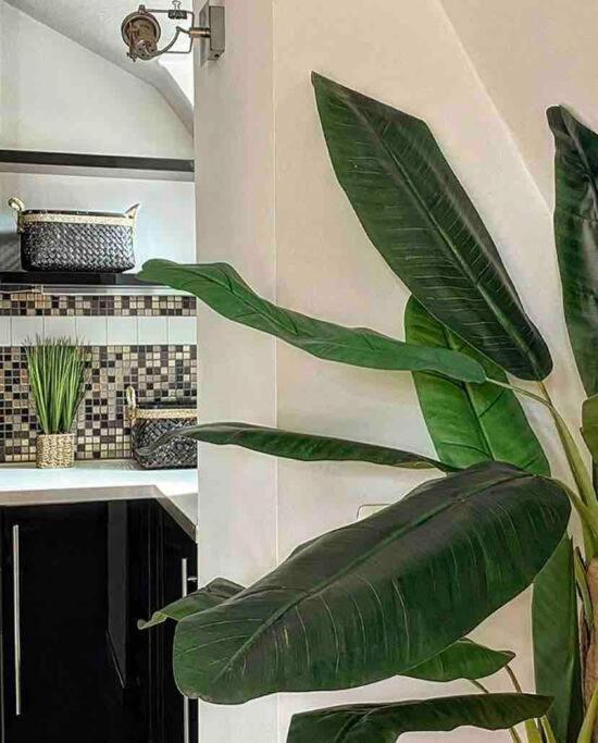 Da Fede E Tamy : Un'incantevole Mansarda! Apartment Milan