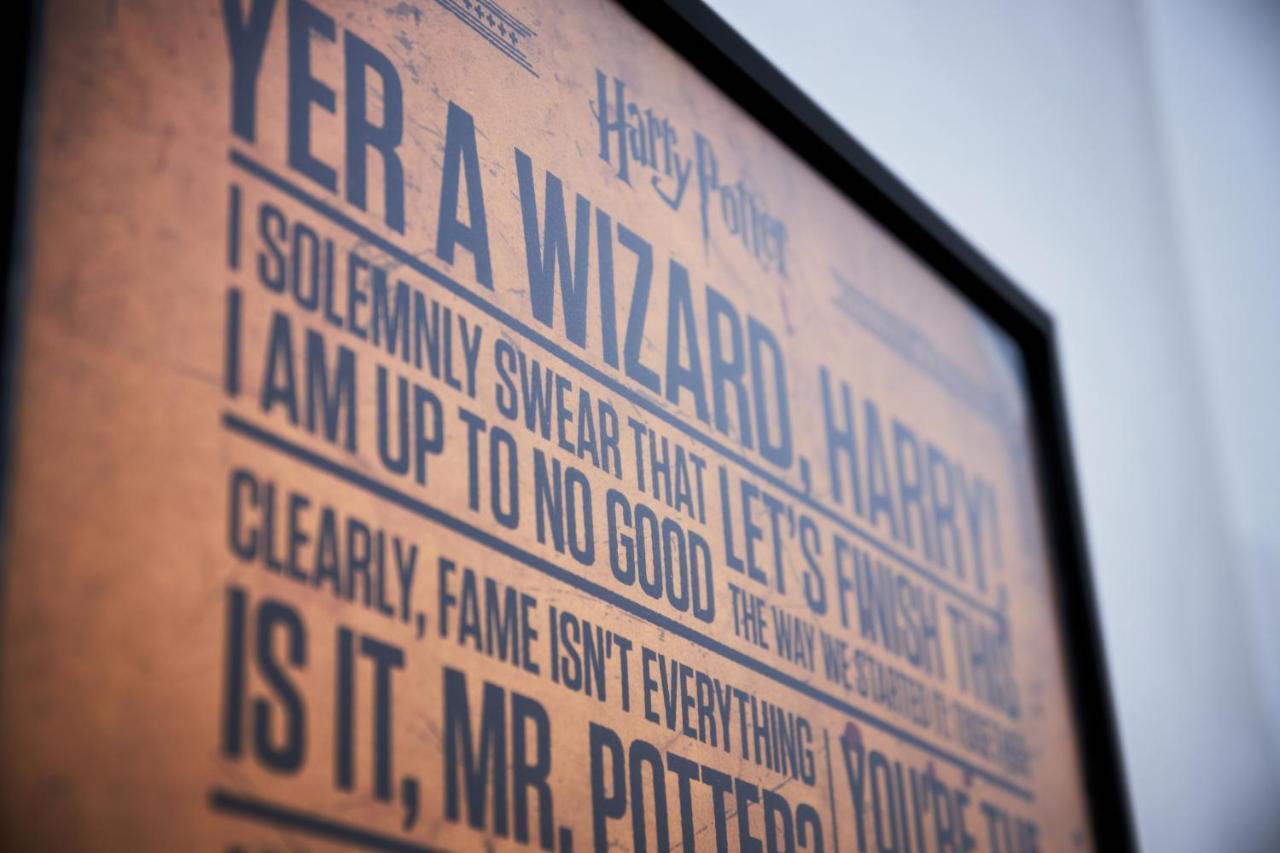 Harry Potter's Magic House - Metro M4 - Linate - Citta Studi Appartamento *
