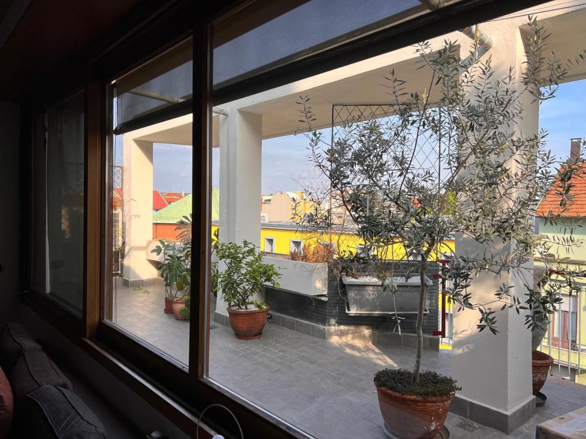 La Terrazza Su Apartment *