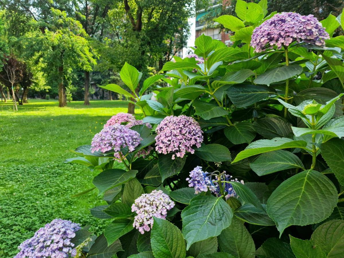 Giardino Sul Naviglio * Milano