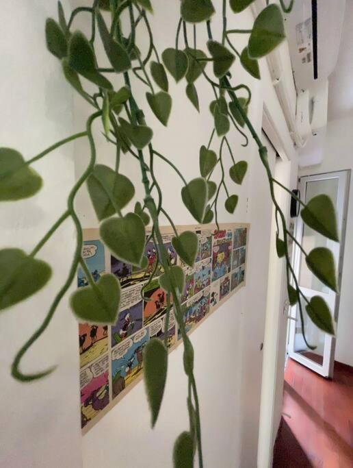 Apartamento Casa - Near The Center And Public Transport *