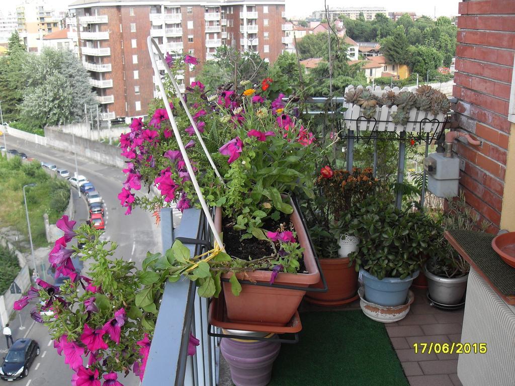 House Guest house
