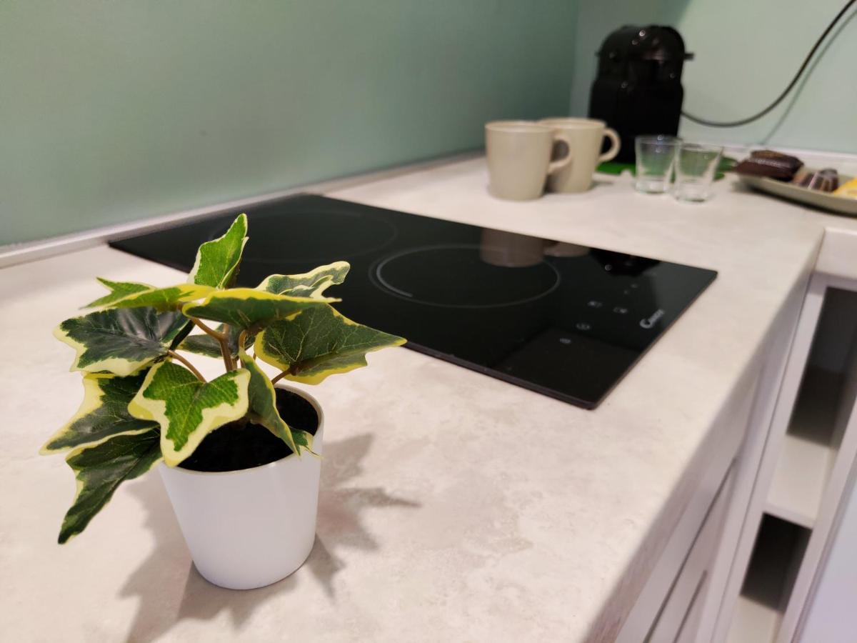 The Green Apt - Stylish And Confortable Large Studio Close To Metro * Milano