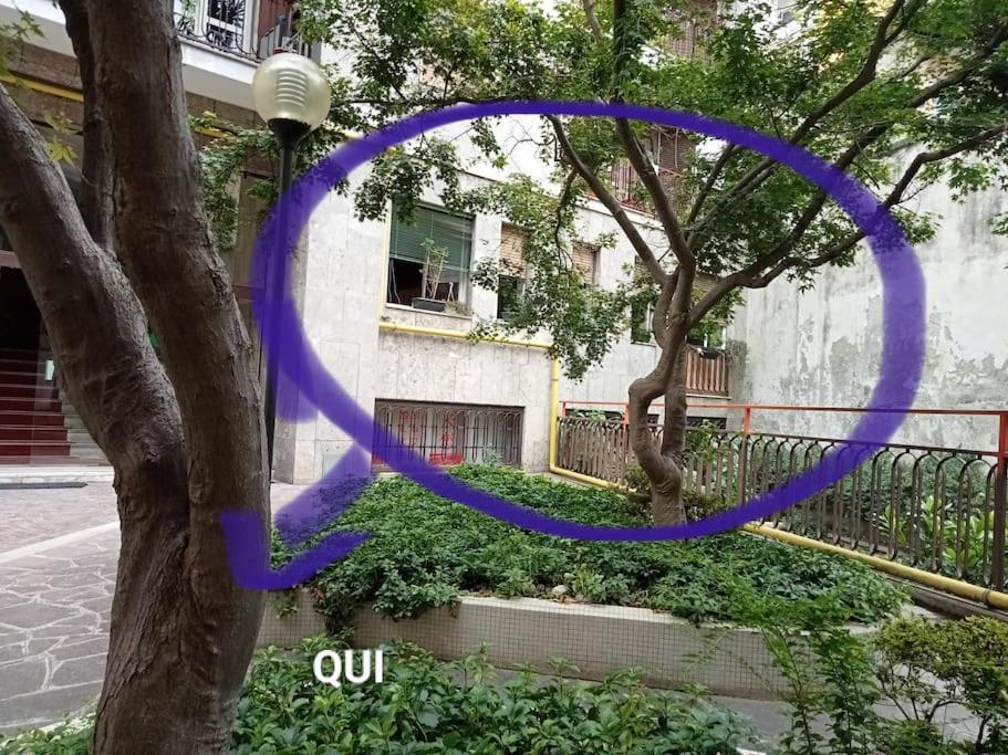 Il Grande Blu Apartment *