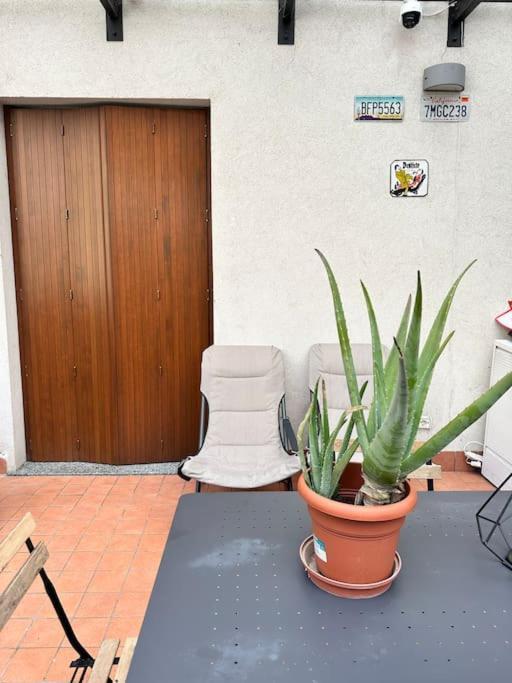Apartamento Loft Moderno Con Terrazzo *