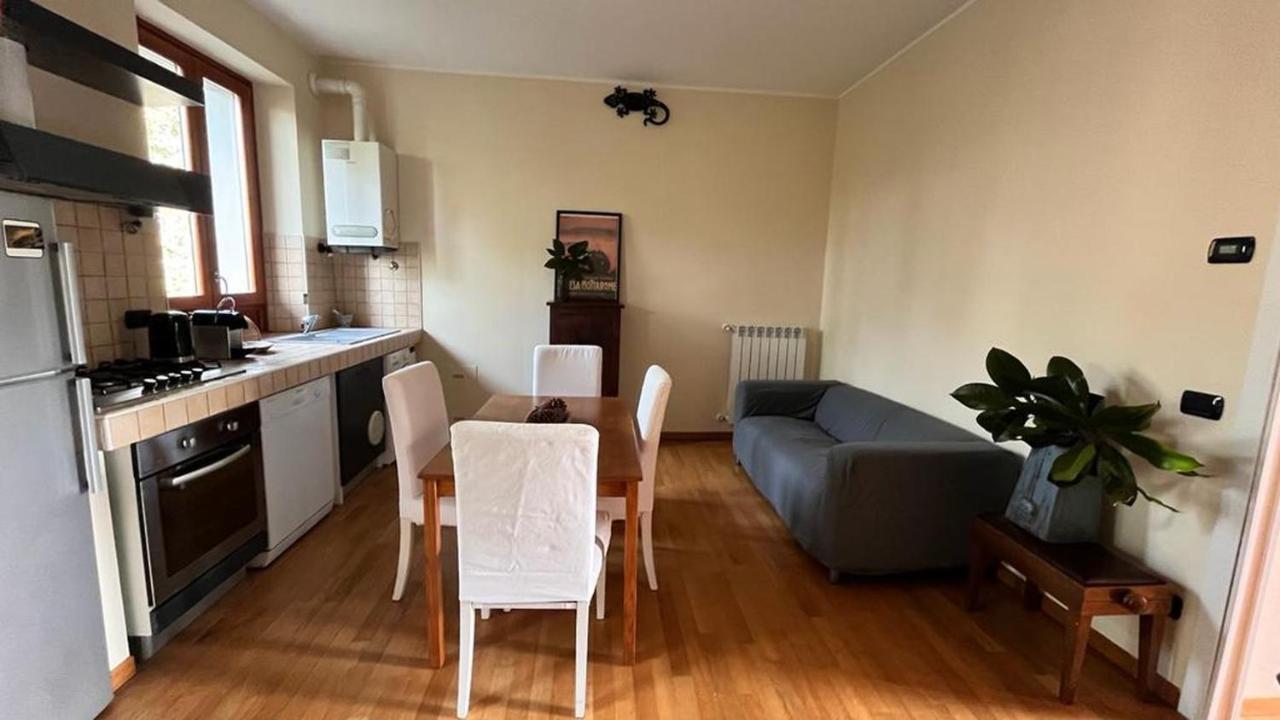 Cozy Nest Apartment