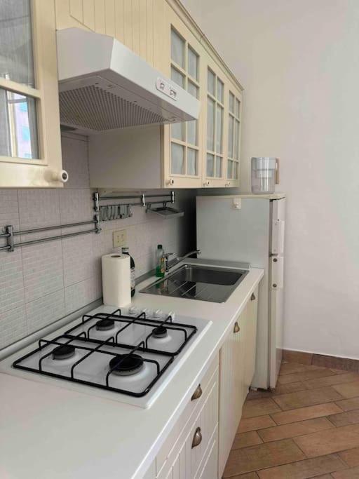Apartment Xenia - Charming Garden In Porta Venezia *