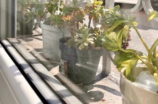 The Small White House In Apartment Milan