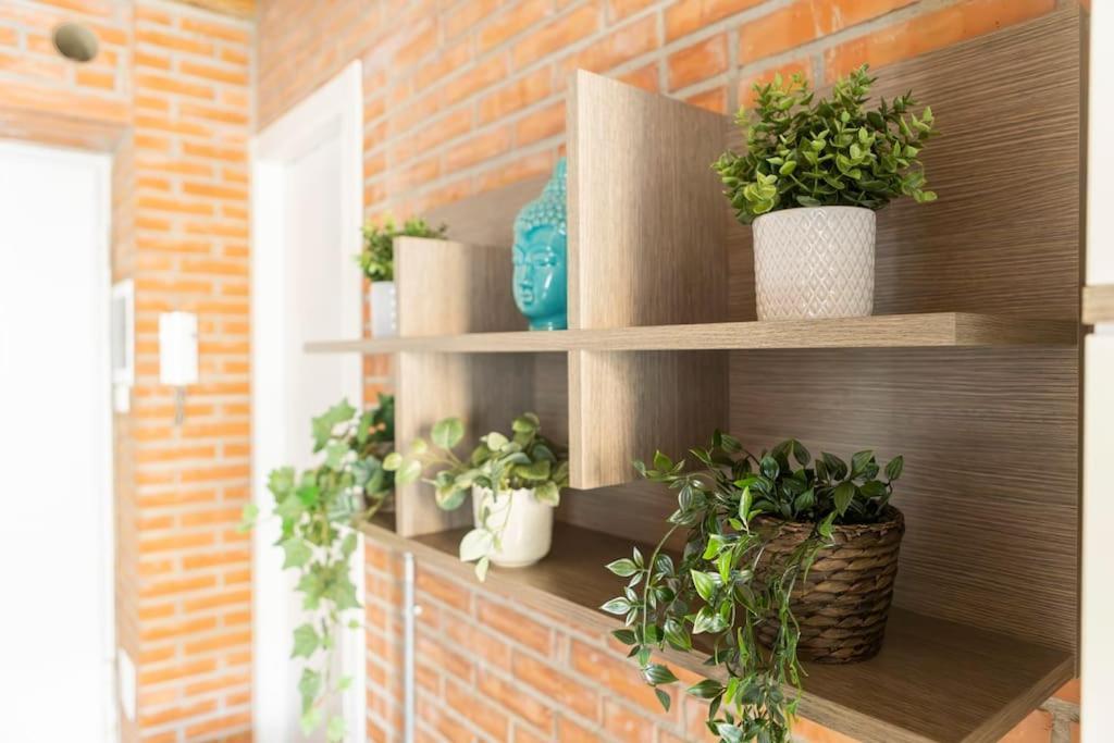 Canonica Brick Milão