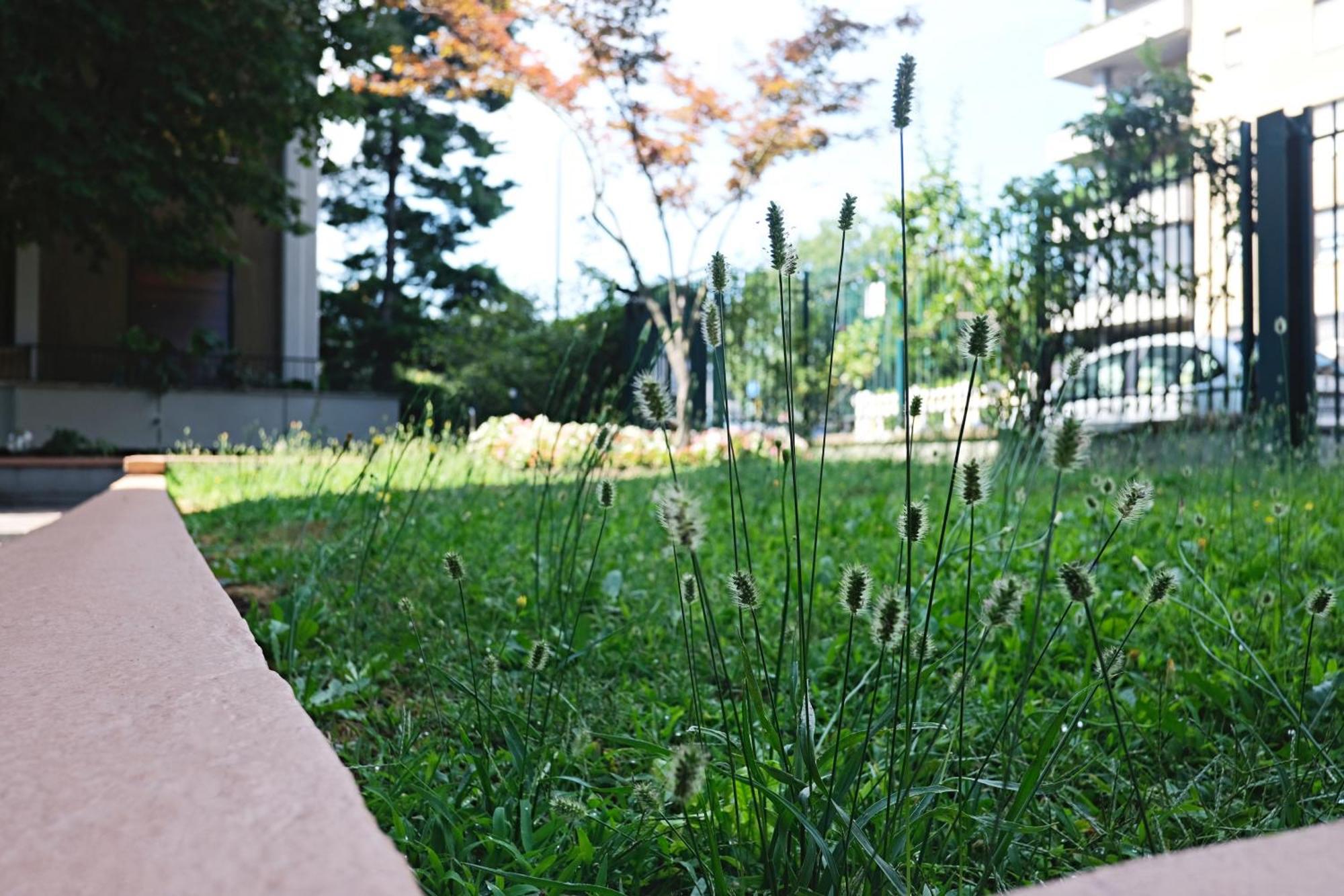 Bwr - Elegant Loft With Terrace, San Siro * Milano