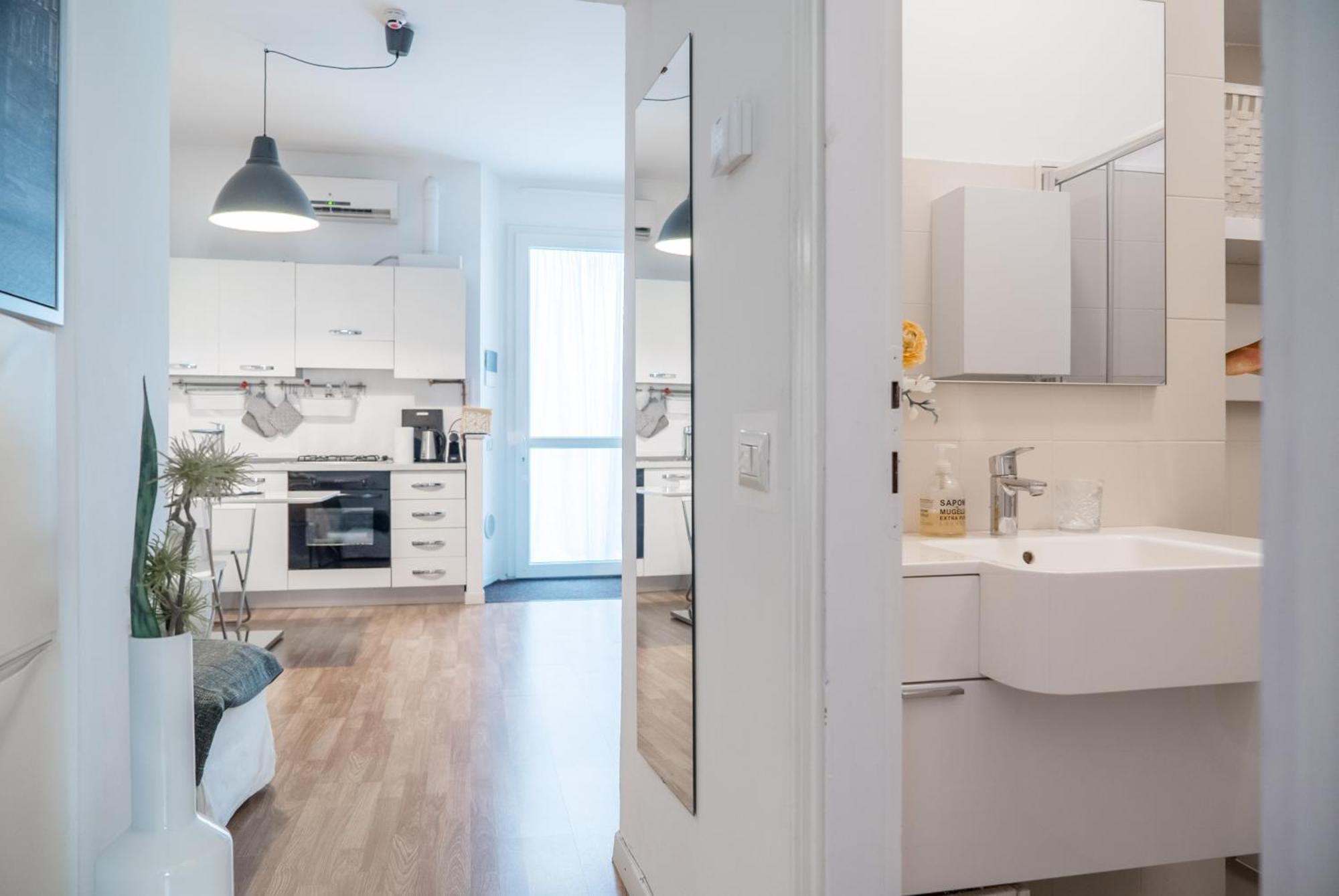 Charming Milanese Aparment