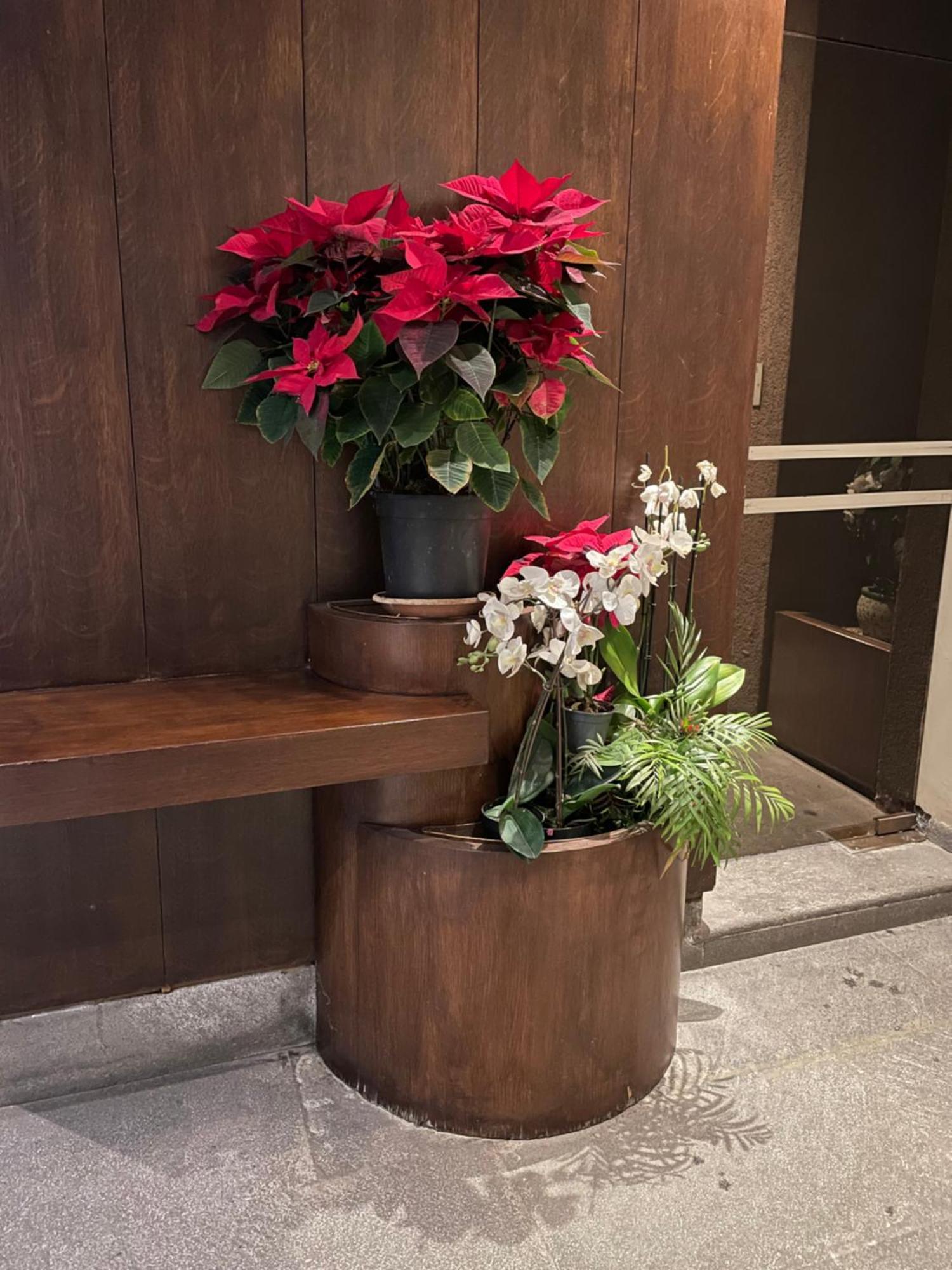 Santa Sofia Apartment Milan