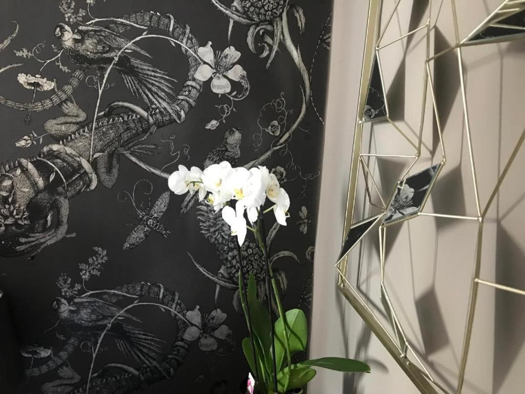 Lippi 42 Single Room's In With Garden * Milan