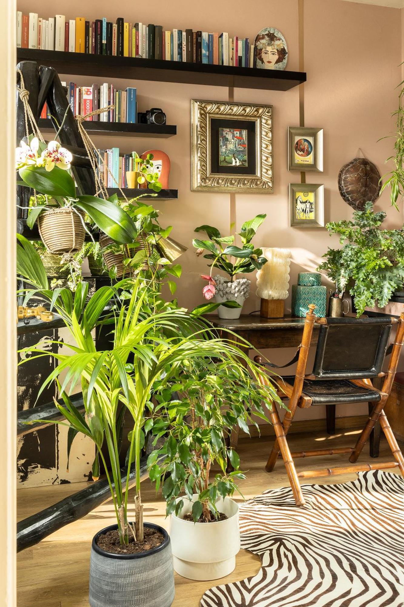 Appartamento Maison Deco: 60 Mq Di Accoglienza *