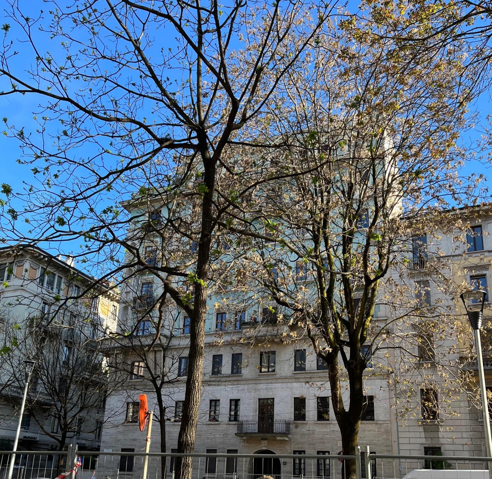 Apartment La Milan