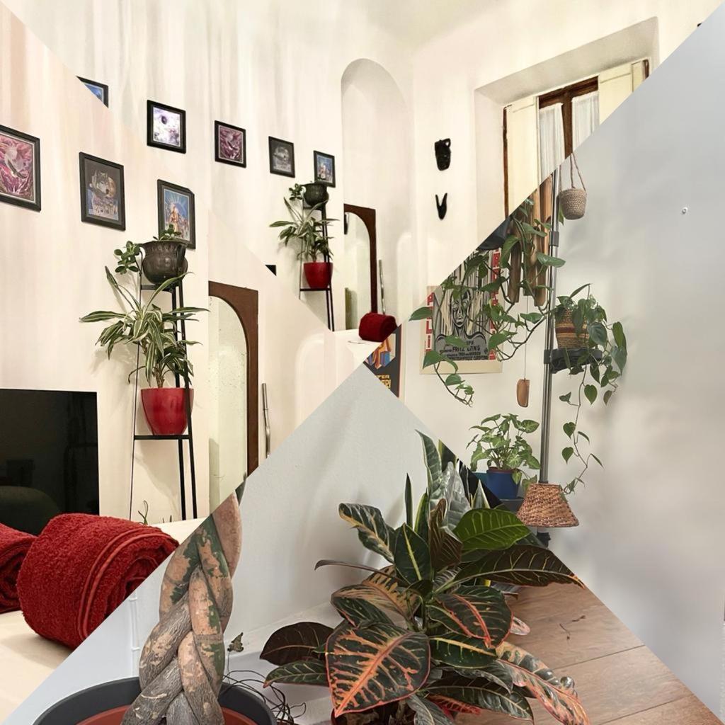 Homestay La Stanza Della Giungla *