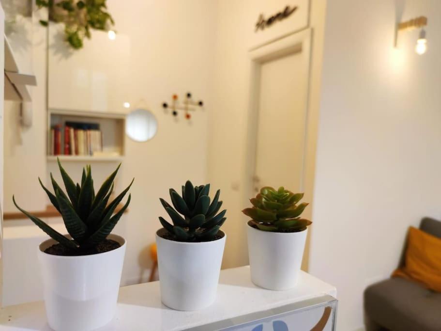 Da Rosa E Pier - Charming Apartamento