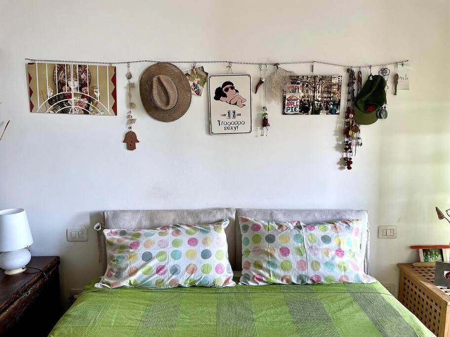 Casa Sofia Design & Cat *