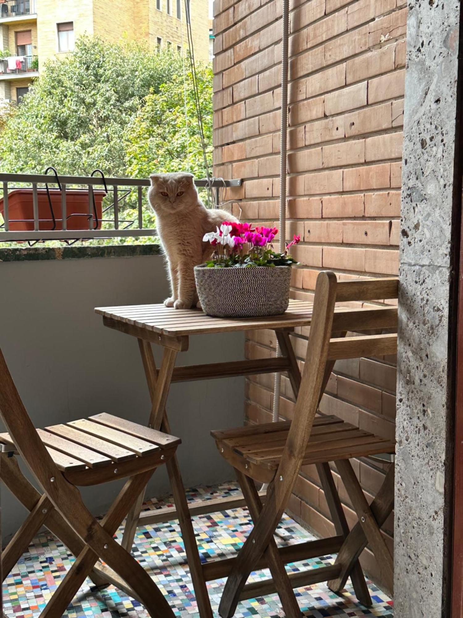 Kittens House Affittacamere Milano