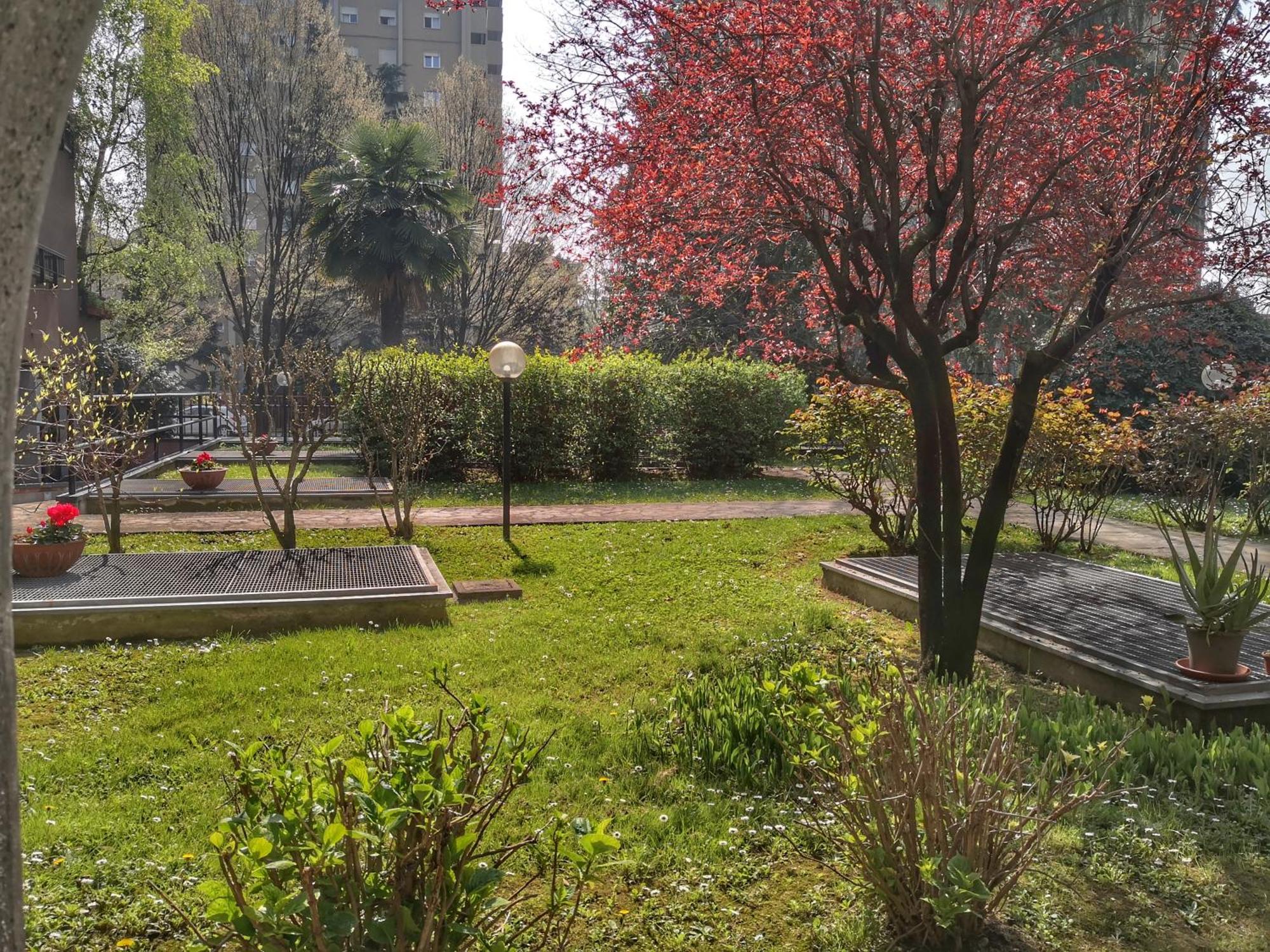 Ihost - Adriatico 6 Apartment