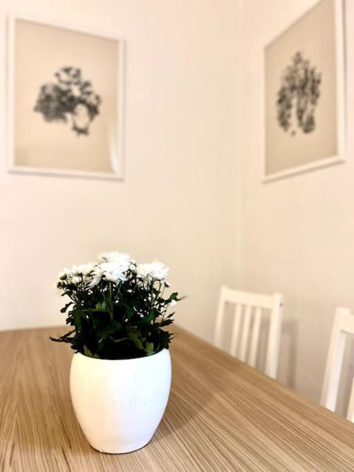 Appartamento Elegante In Centro *