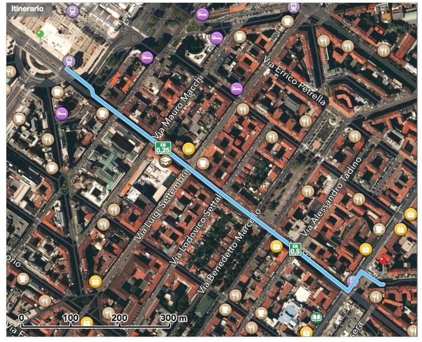 Dream Garden Center On Subway 10 Guest Apartment Milan
