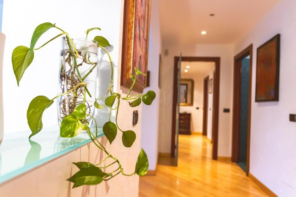 Ampia Oasi A Porta Venezia: Casa In Centro * Milan